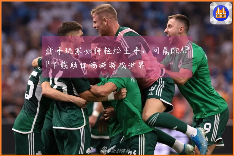 新手玩家如何轻松上手，问鼎pgAPP下载助你畅游游戏世界