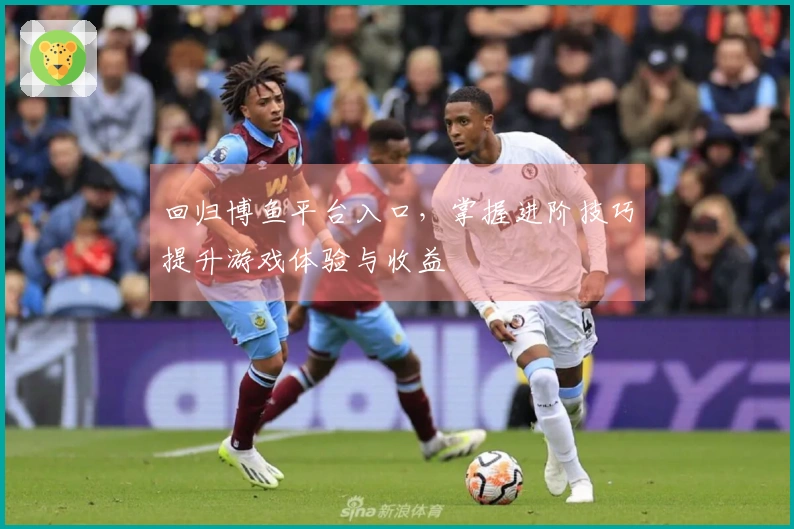 回归博鱼平台入口，掌握进阶技巧提升游戏体验与收益