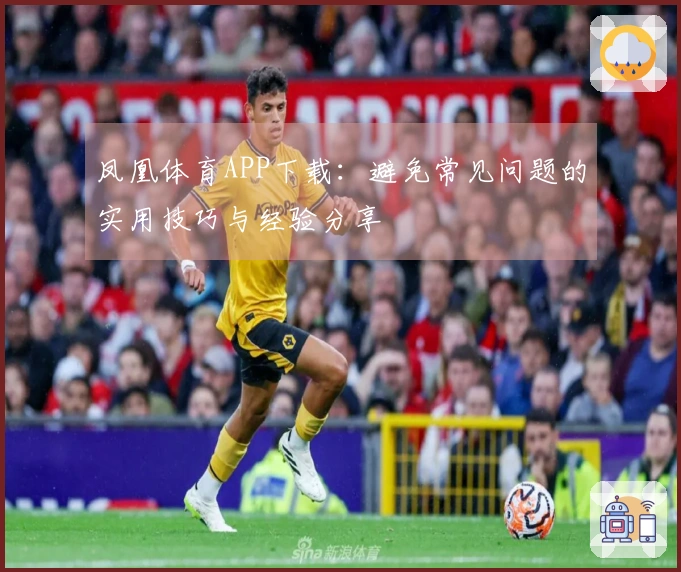 凤凰体育APP下载：避免常见问题的实用技巧与经验分享