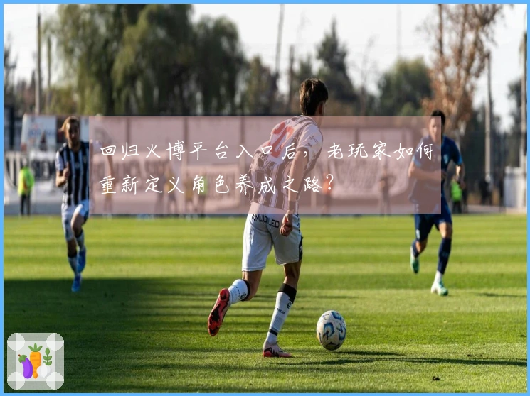 回归火博平台入口后，老玩家如何重新定义角色养成之路？