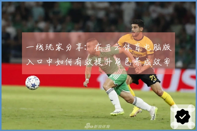 一线玩家分享：在开云体育电脑版入口中如何有效提升角色养成效率与体验