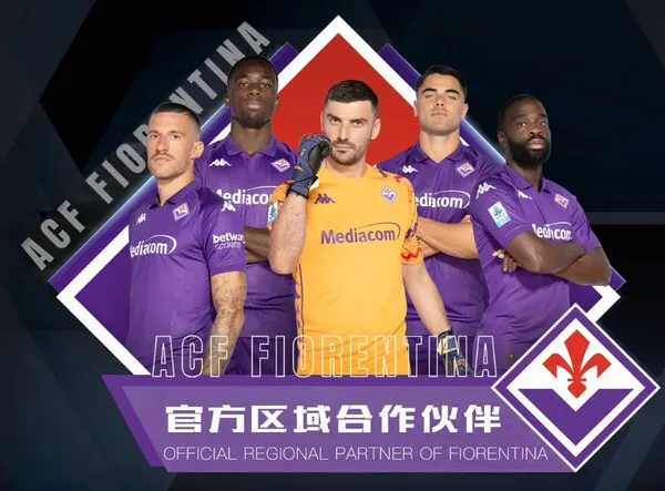 MK体育安装失败处理安全提醒